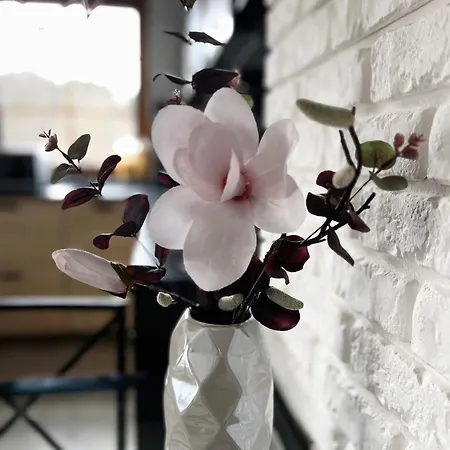 White View Rose Apartment